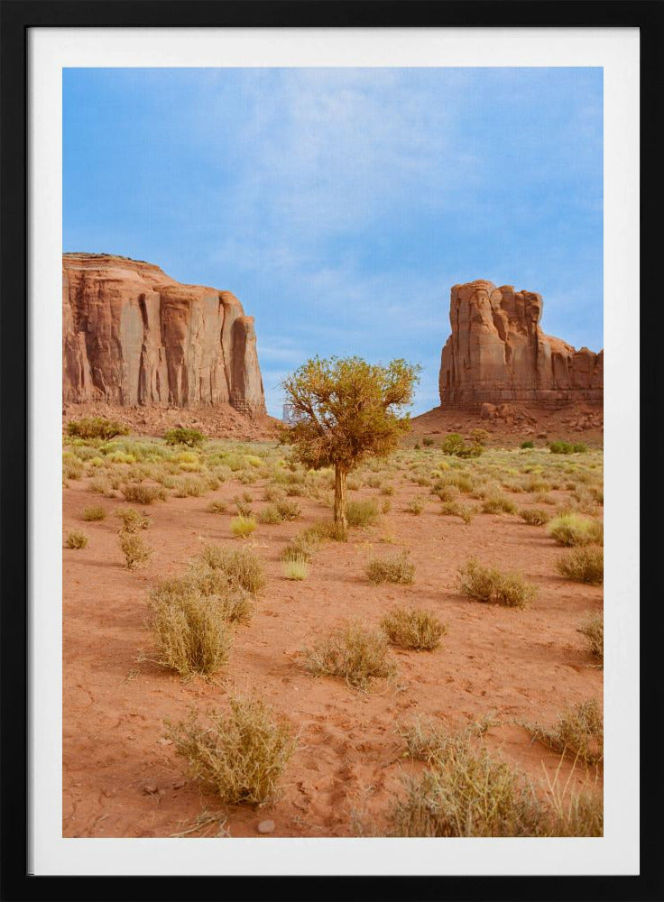 Monument Valley X | Poster