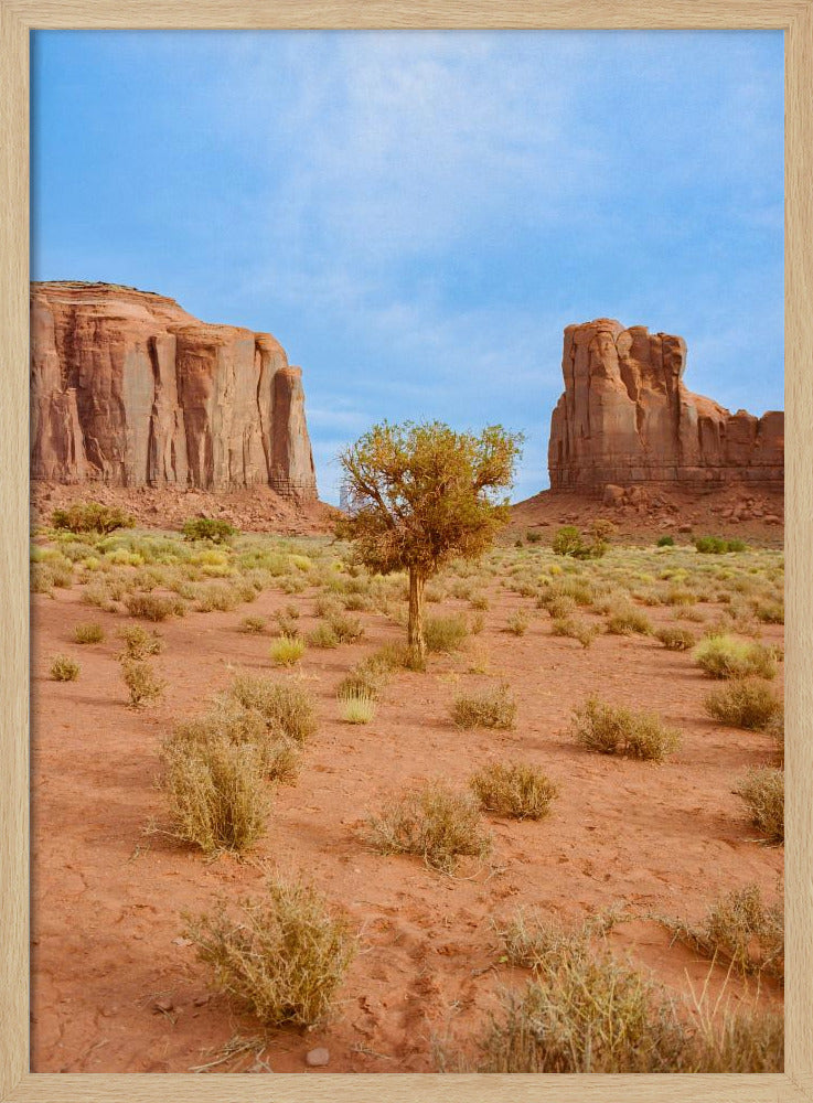 Monument Valley X | Poster