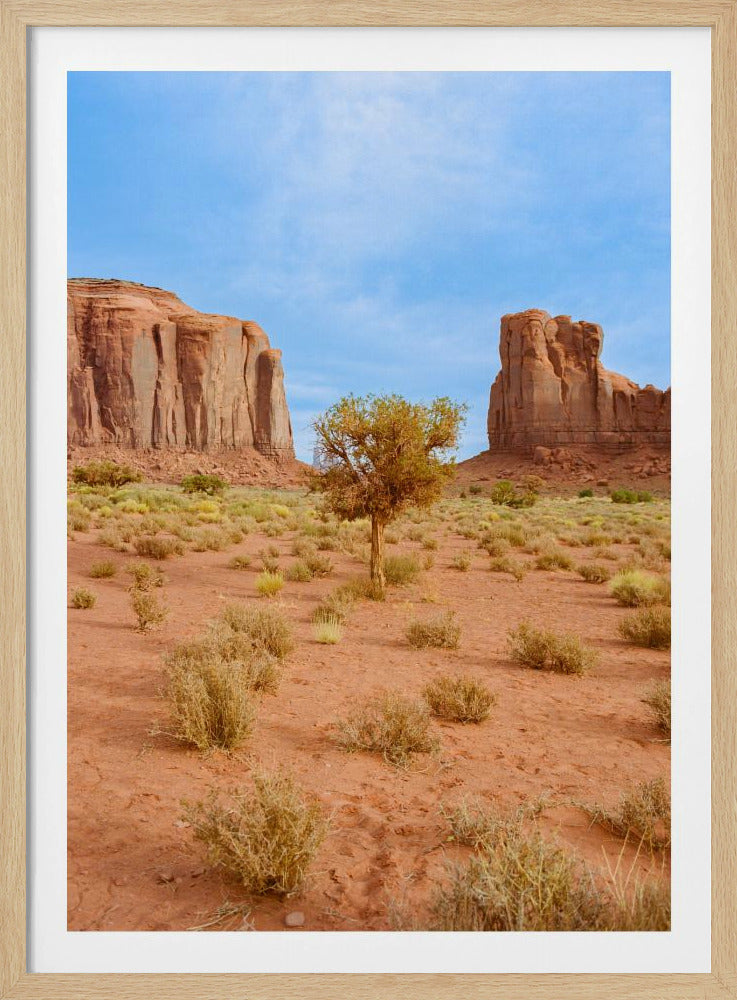 Monument Valley X | Poster