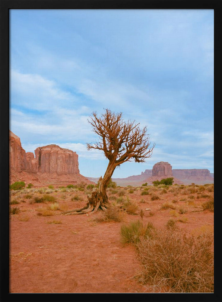 Monument Valley XI | Poster