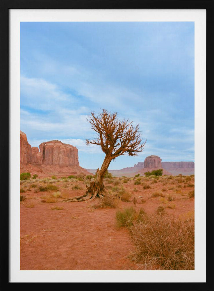 Monument Valley XI | Poster