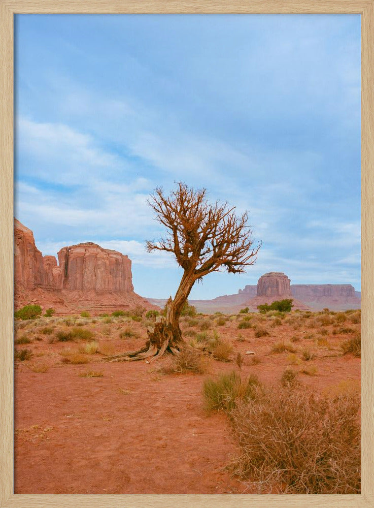 Monument Valley XI | Poster