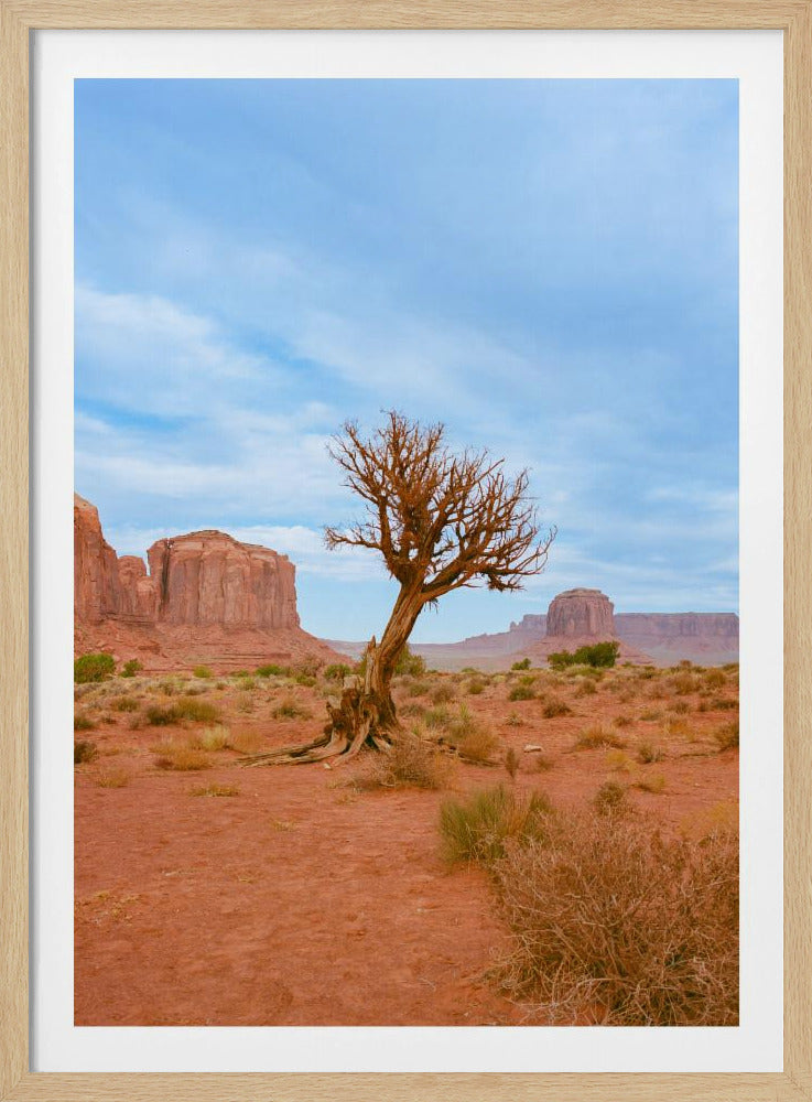 Monument Valley XI | Poster