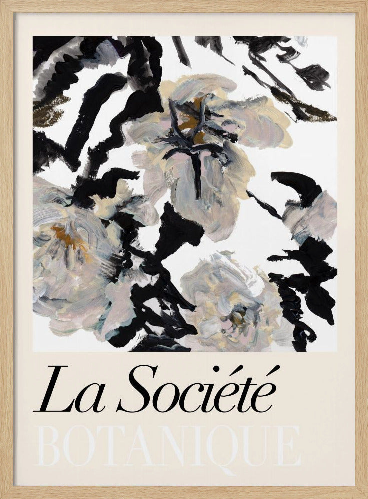 La Société Botanique Balck and White and Cream Flowers 2 | Poster