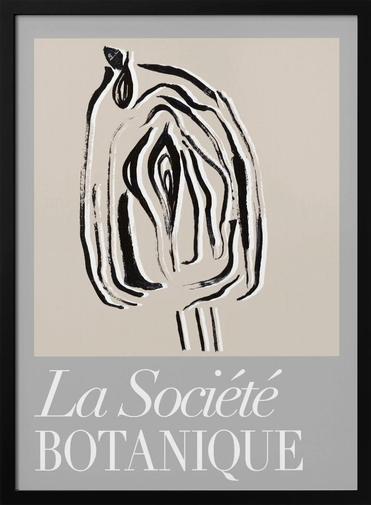 La Société Botanique Seed Pod | Poster