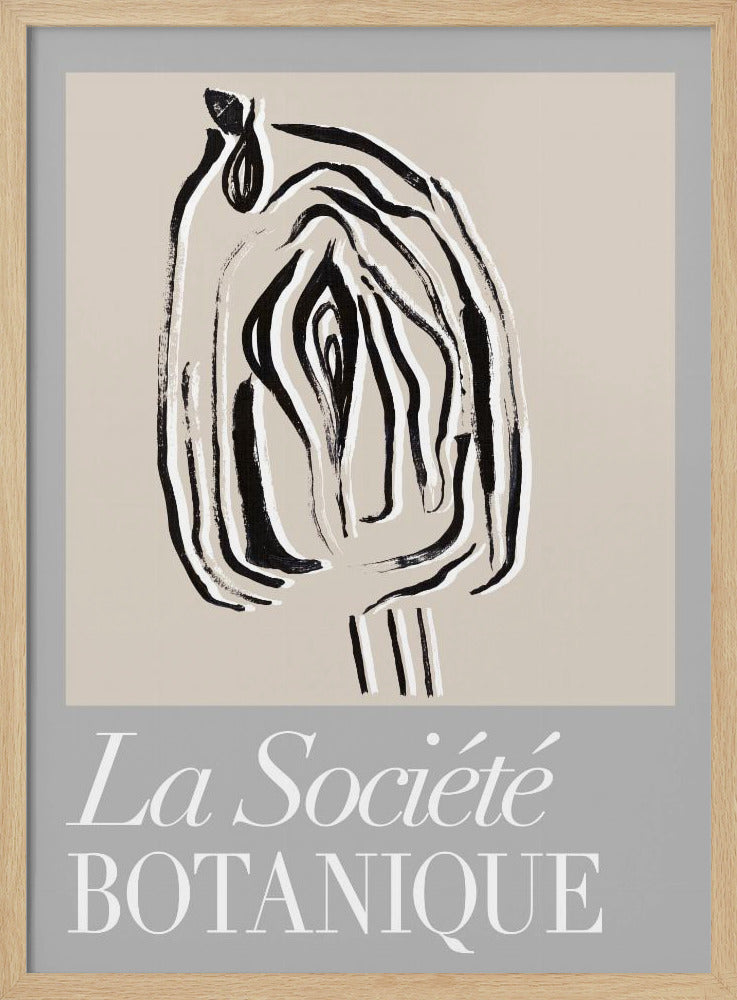 La Société Botanique Seed Pod | Poster