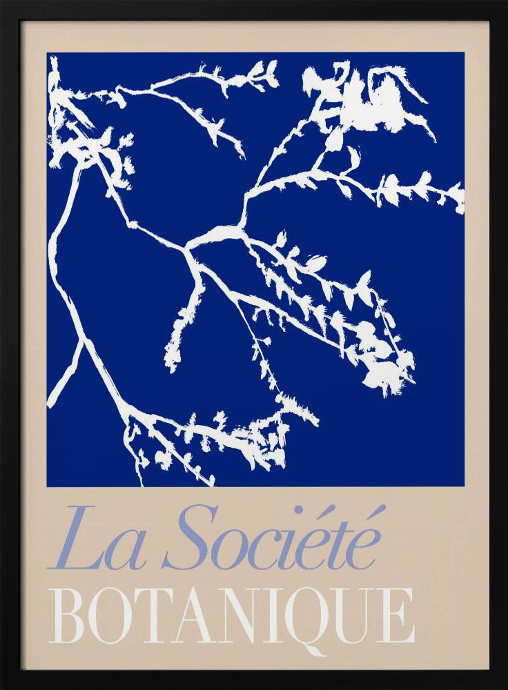 La Société Botanique White Flower 2 | Poster