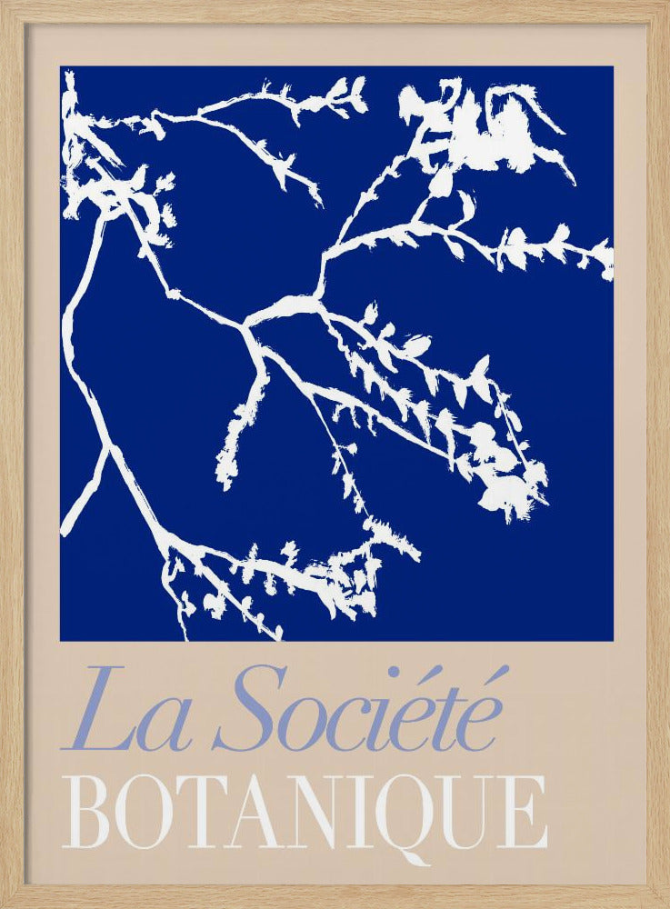 La Société Botanique White Flower 2 | Poster