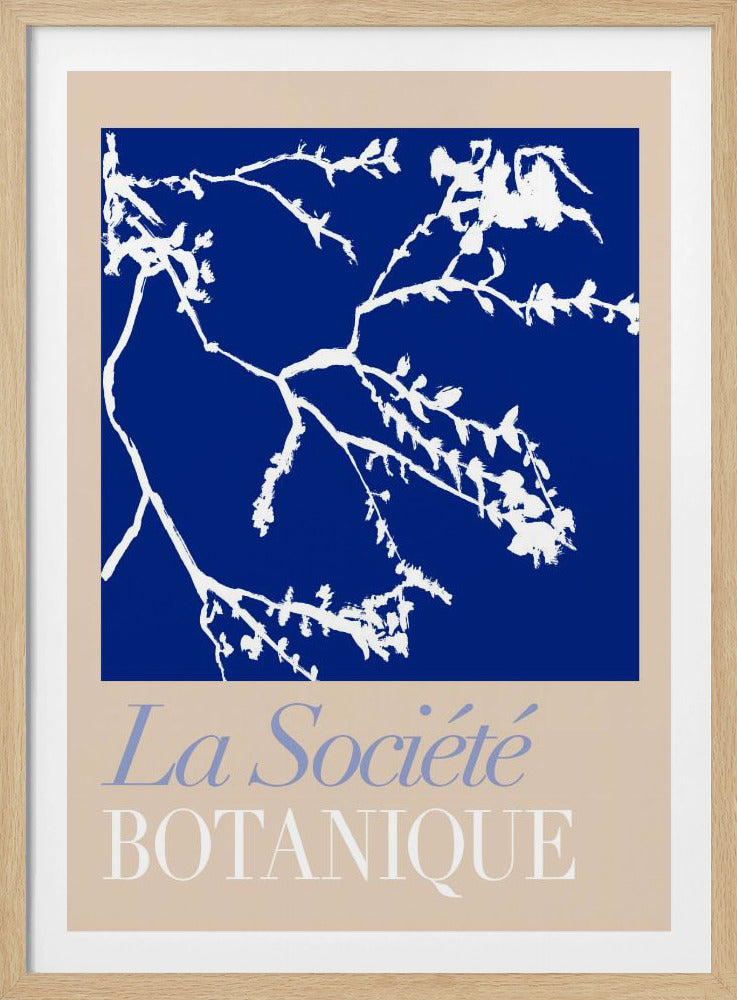 La Société Botanique White Flower 2 | Poster