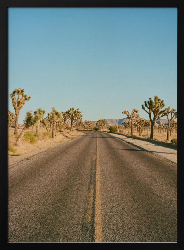 Joshua Tree Road II | Poster