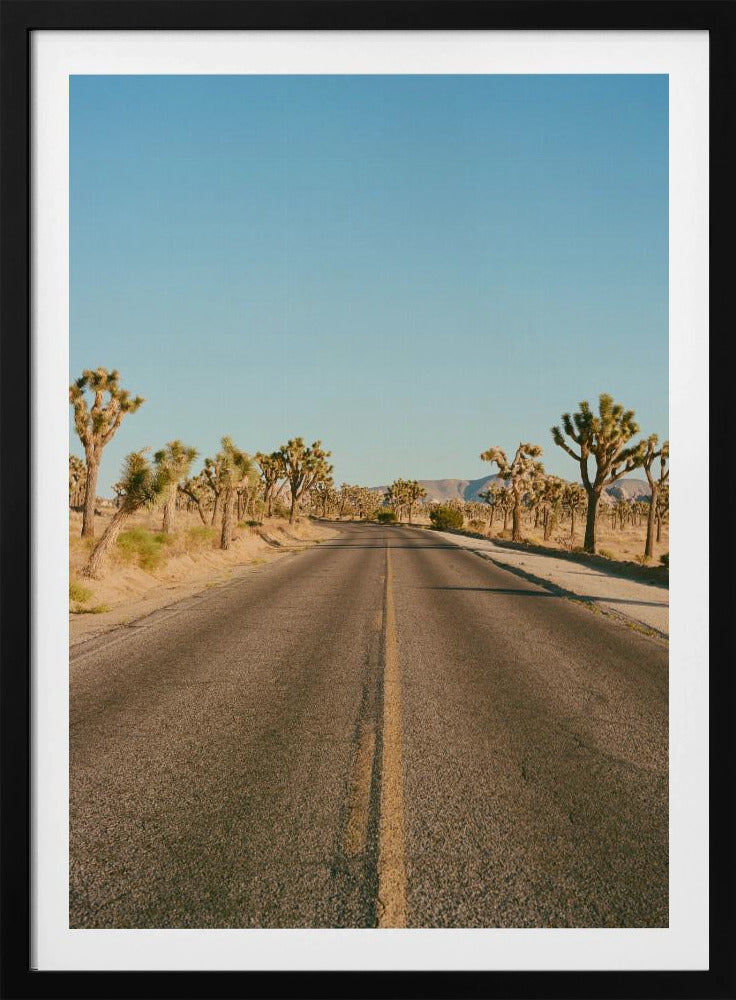 Joshua Tree Road II | Poster