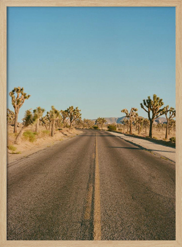 Joshua Tree Road II | Poster