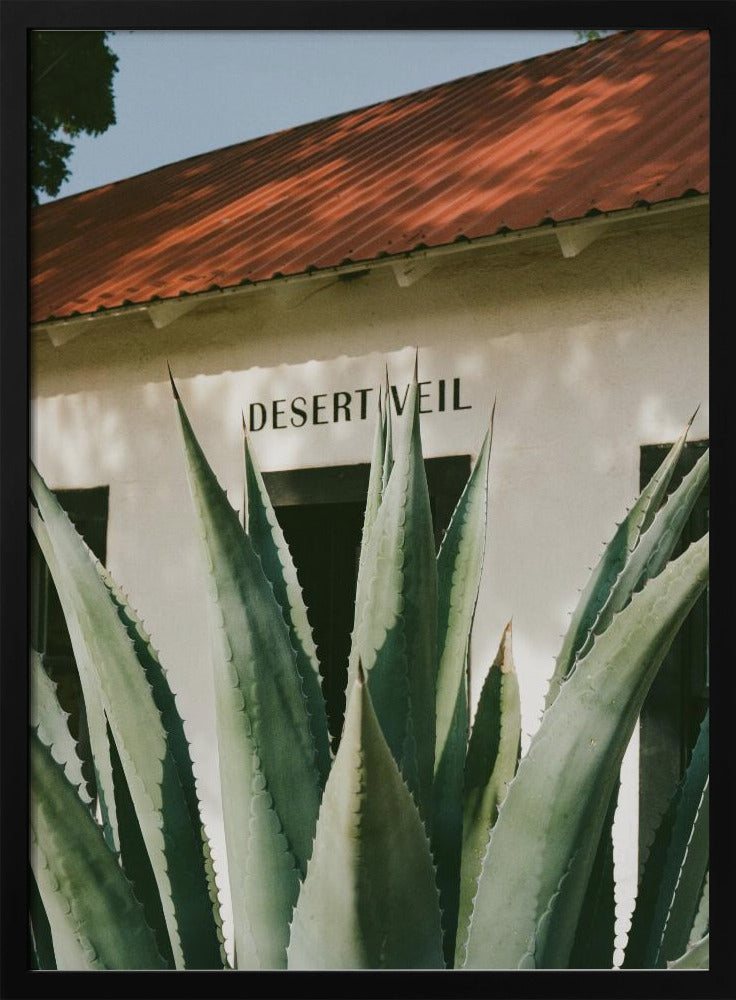 Desert Veil | Poster