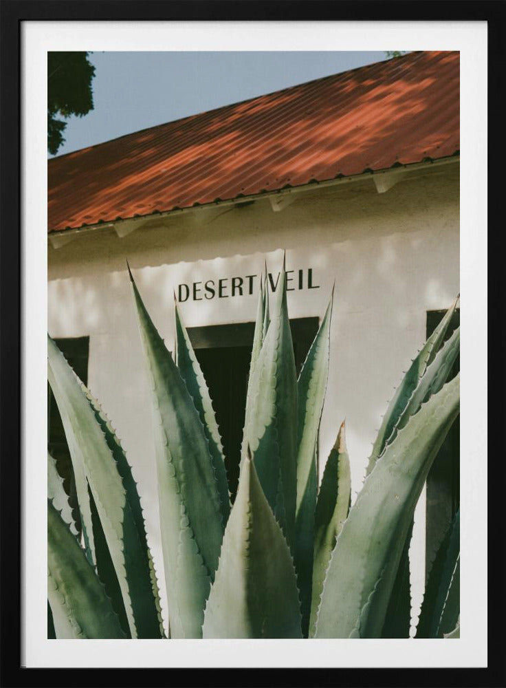 Desert Veil | Poster