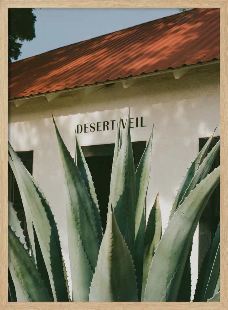 Desert Veil | Poster