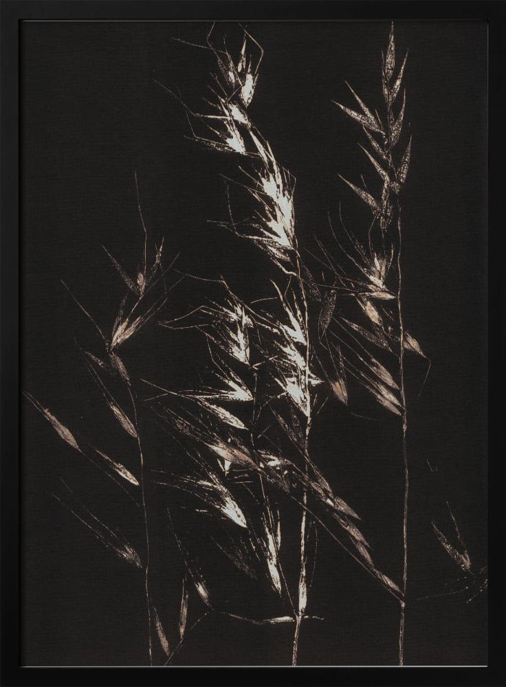 Wild Grass | Poster