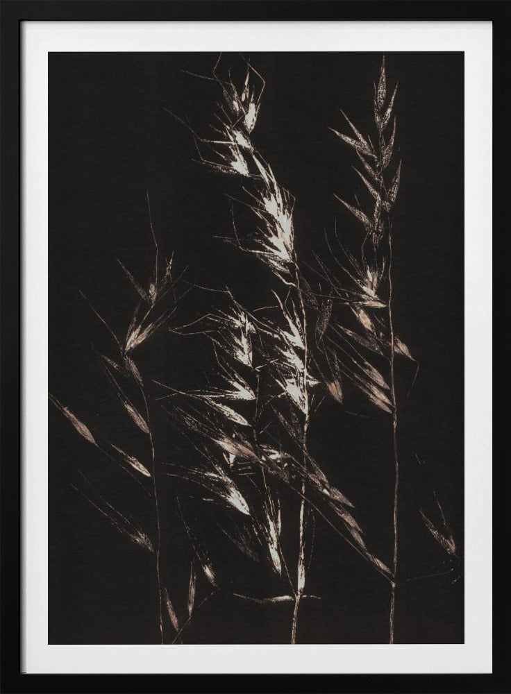 Wild Grass | Poster