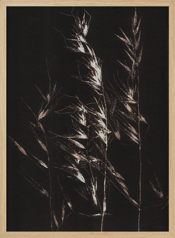 Wild Grass | Poster