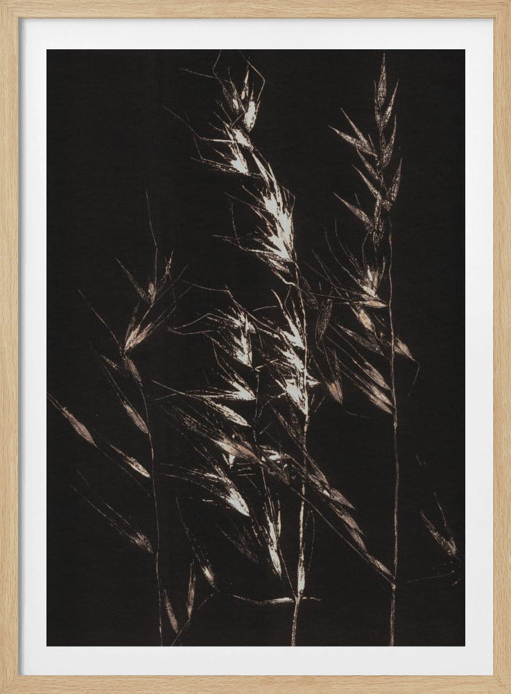 Wild Grass | Poster