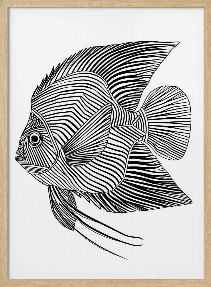 Lines art Fish | Poster