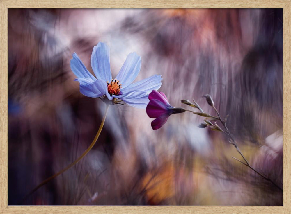 Le rendez vous | Poster