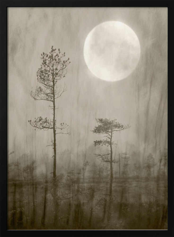 Moonlight Moor | Poster