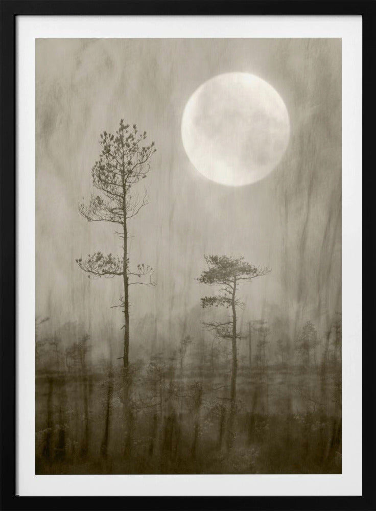 Moonlight Moor | Poster