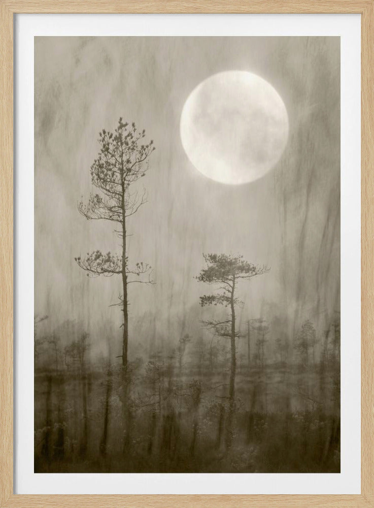 Moonlight Moor | Poster