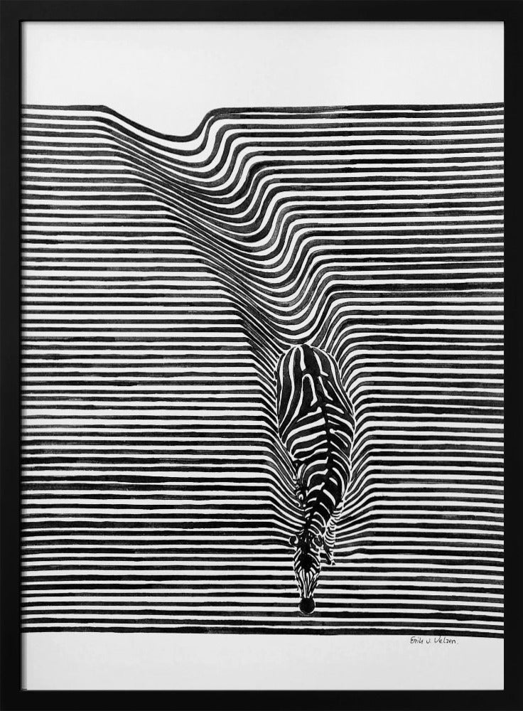 Zebra in het veld | Poster