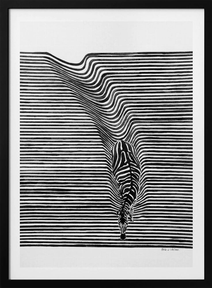 Zebra in het veld | Poster