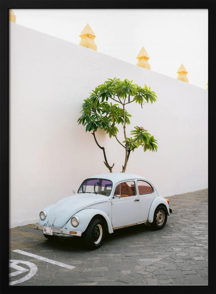 Pastel Volskwagen Beetle in the streets of Oaxaca Mexico | Poster