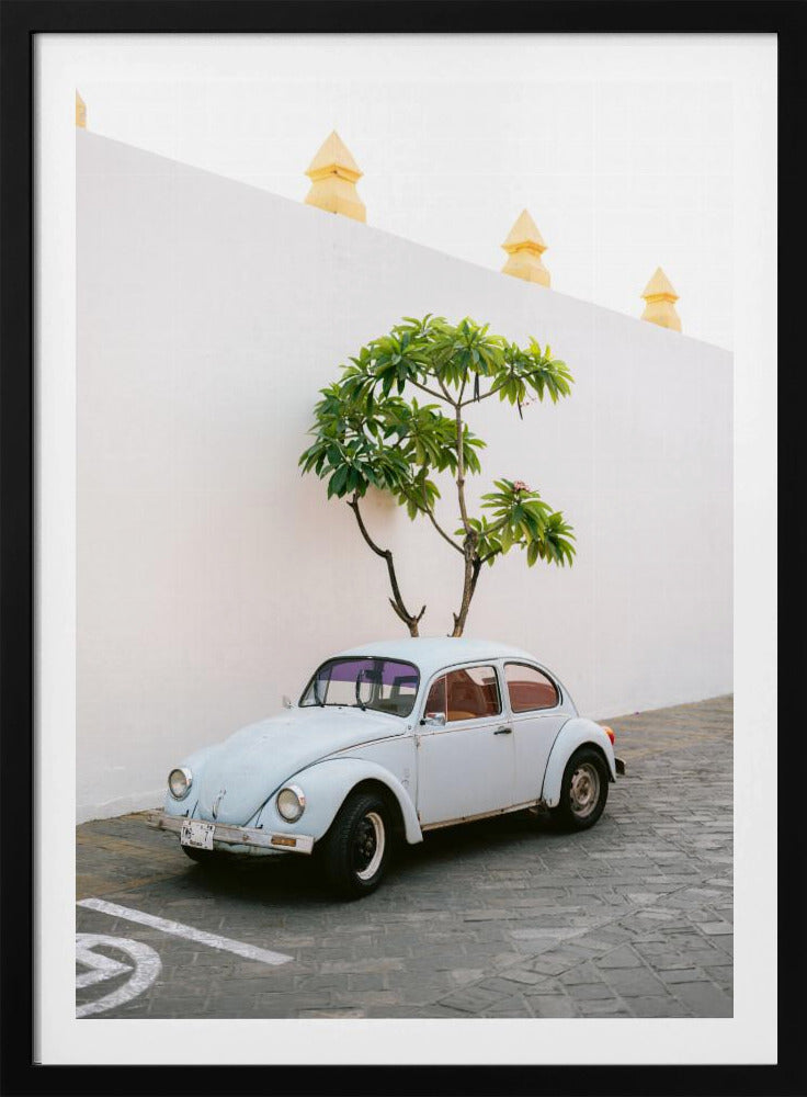Pastel Volskwagen Beetle in the streets of Oaxaca Mexico | Poster