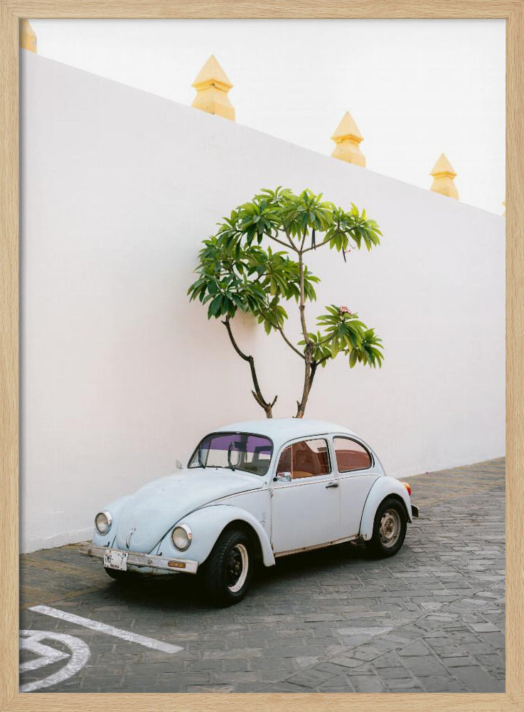 Pastel Volskwagen Beetle in the streets of Oaxaca Mexico | Poster
