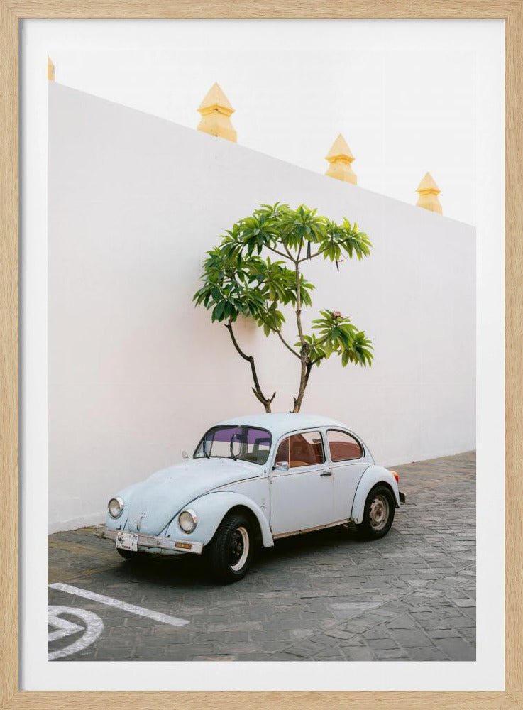 Pastel Volskwagen Beetle in the streets of Oaxaca Mexico | Poster