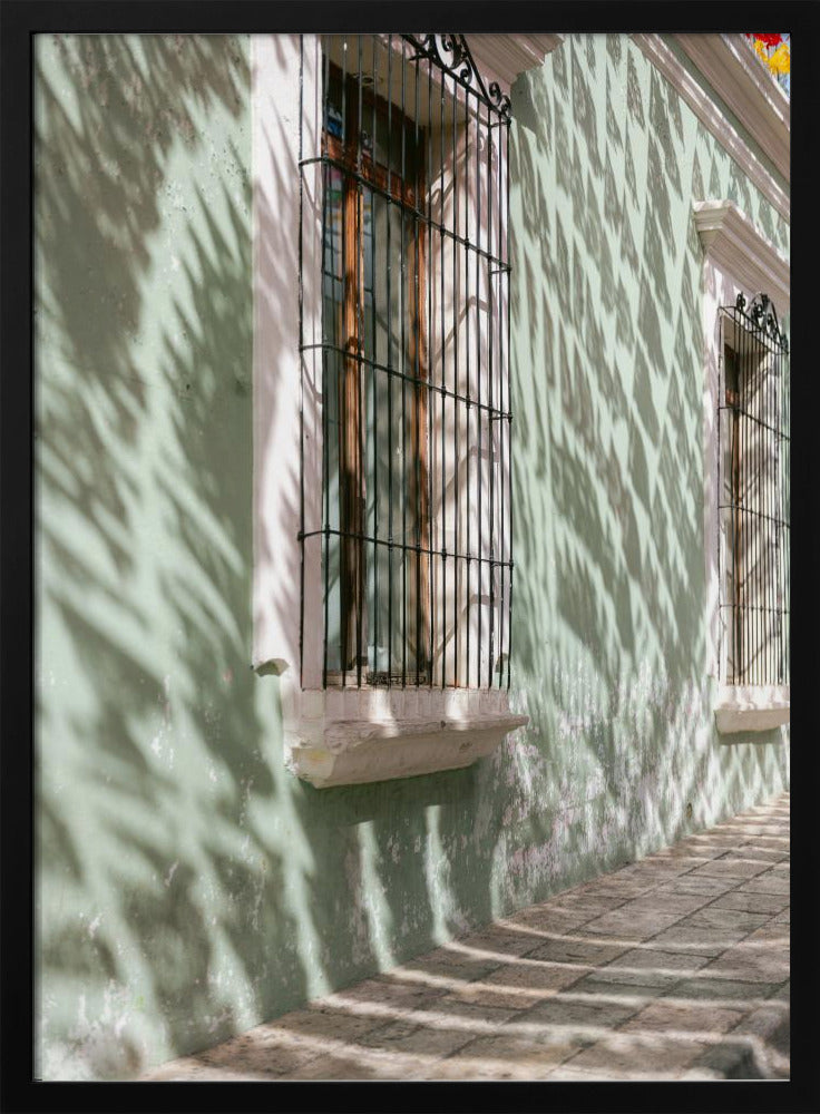 Greens of Oaxaca | Mexico travel photography | Poster