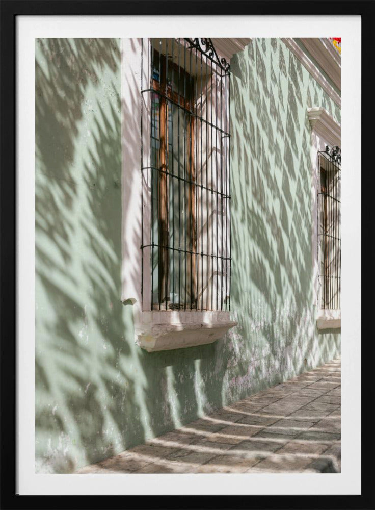 Greens of Oaxaca | Mexico travel photography | Poster