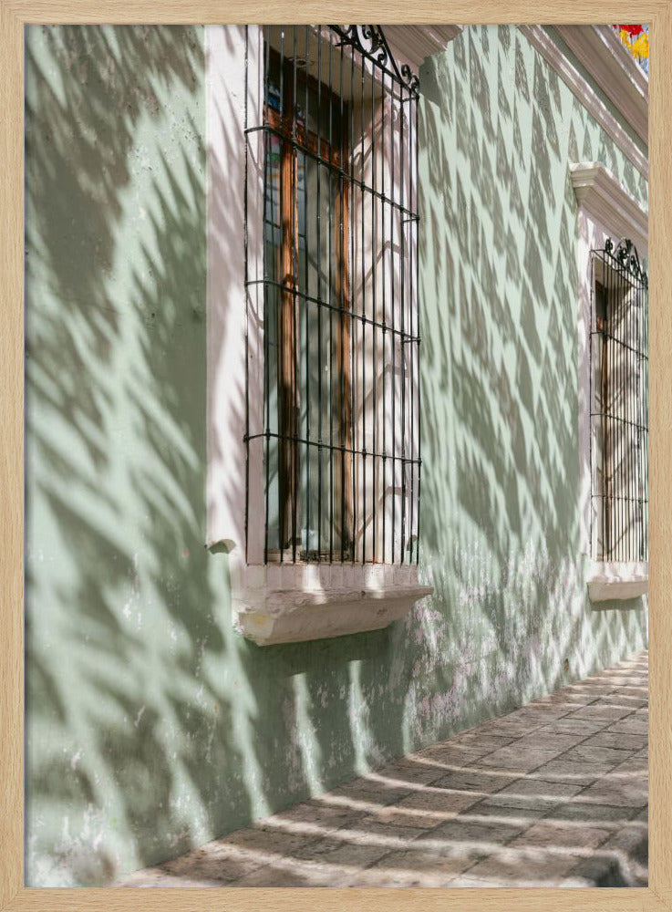 Greens of Oaxaca | Mexico travel photography | Poster