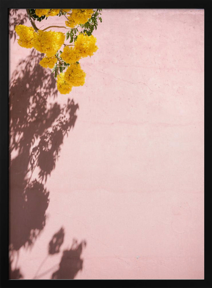 Yellow and Pink | Oaxaca Mexico | Poster