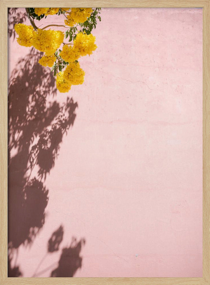 Yellow and Pink | Oaxaca Mexico | Poster