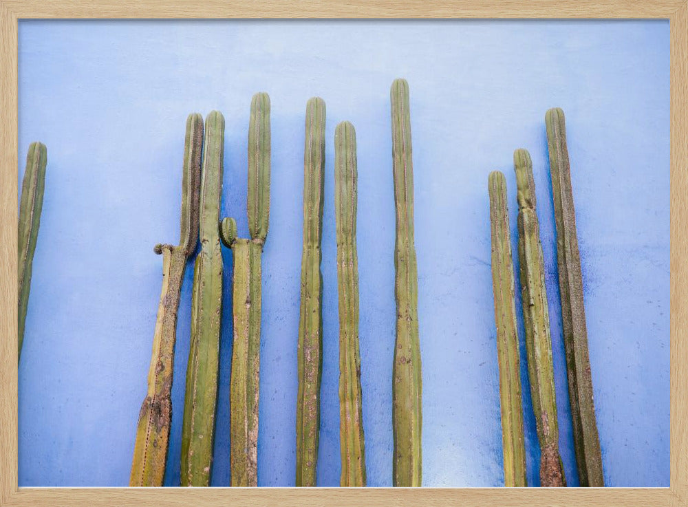 Tall Cacti on Blue | Oaxaca Mexico Travel | Poster