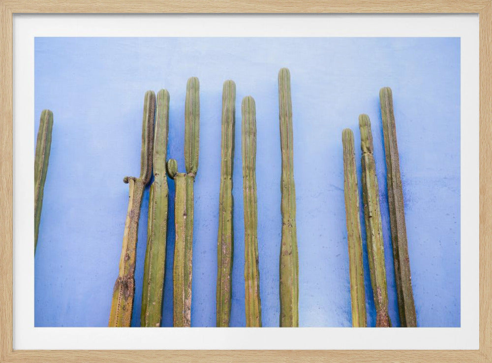 Tall Cacti on Blue | Oaxaca Mexico Travel | Poster