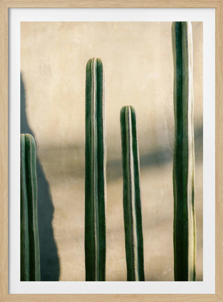 Oaxaca Shades of Green | Mexico travel photography | Poster