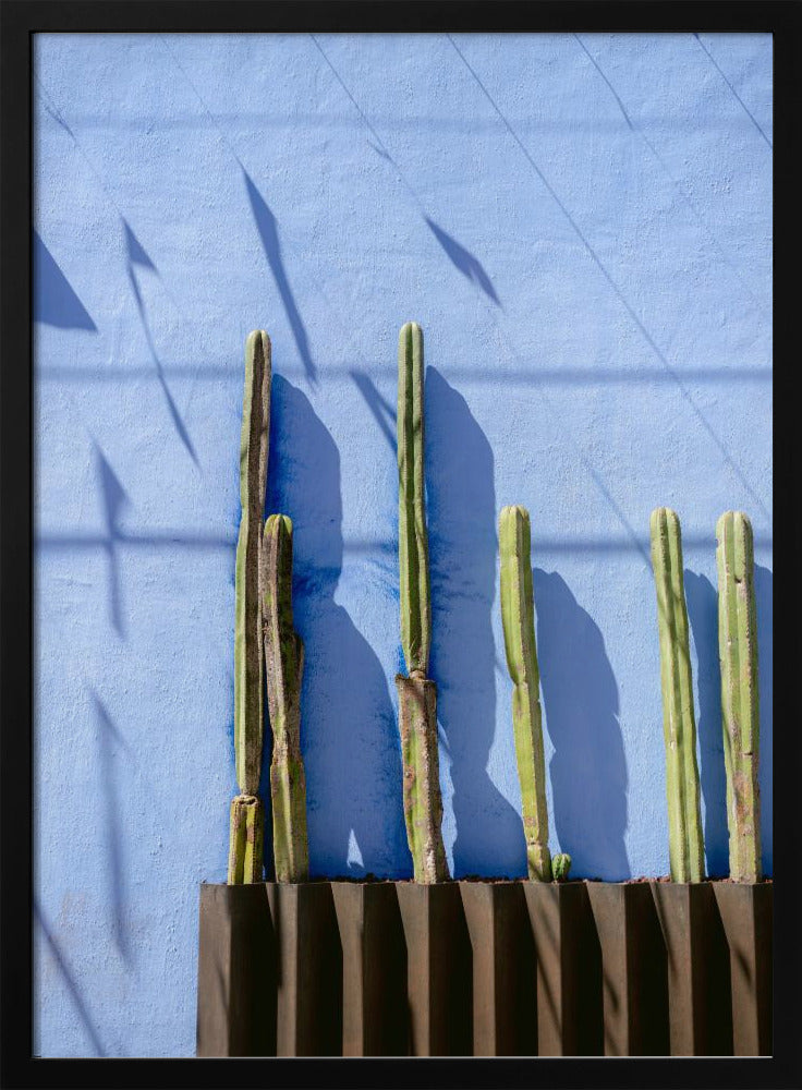 Tall Cacti | Oaxaca Mexico travel photography | Poster
