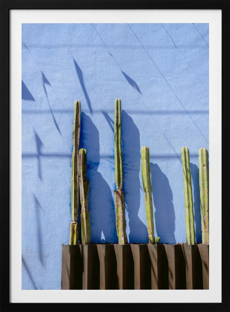 Tall Cacti | Oaxaca Mexico travel photography | Poster