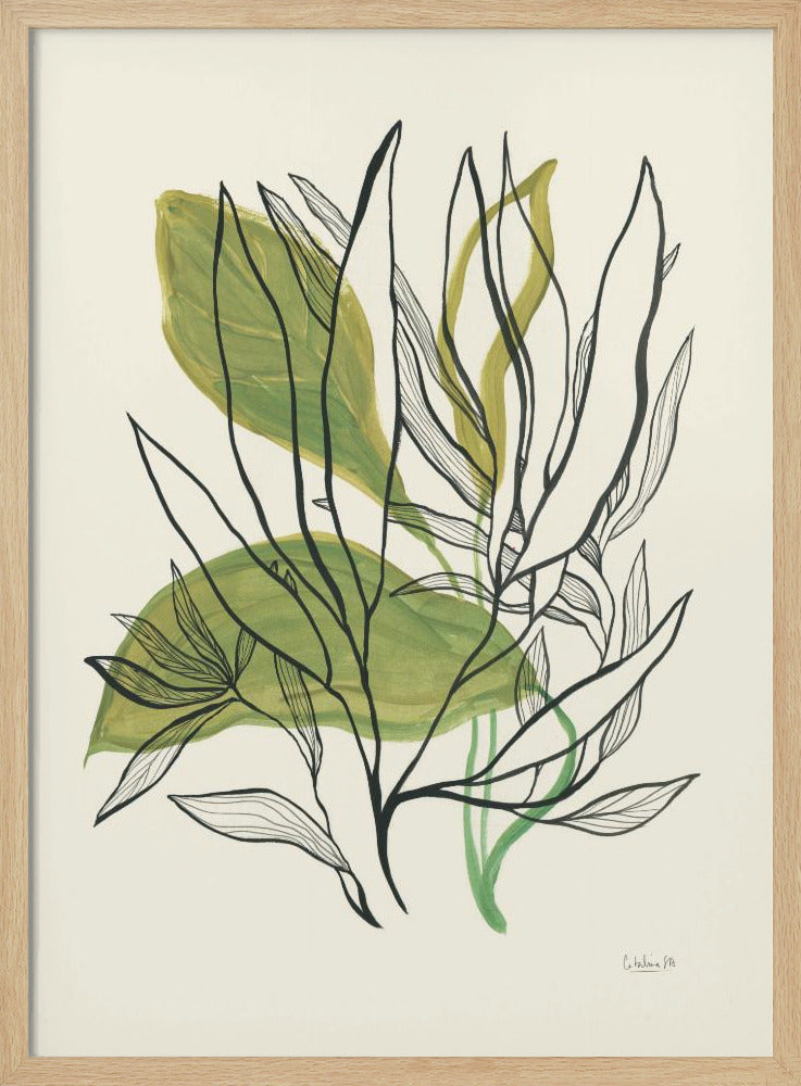 Foliage N.1 | Poster