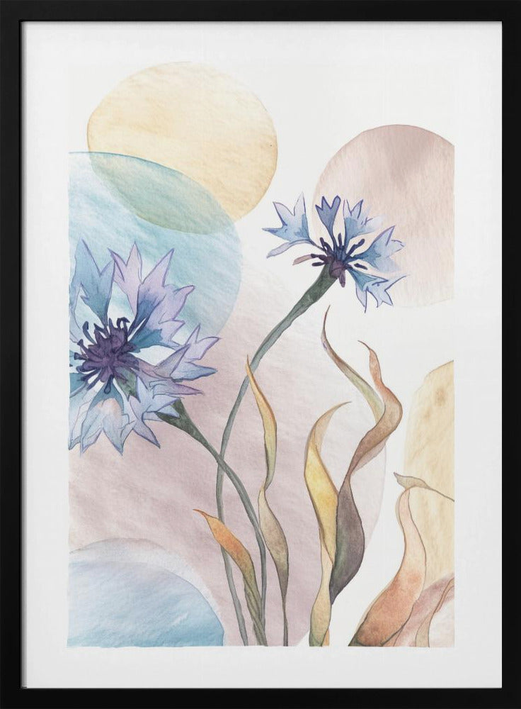 Watercolor Cornflowers | Poster