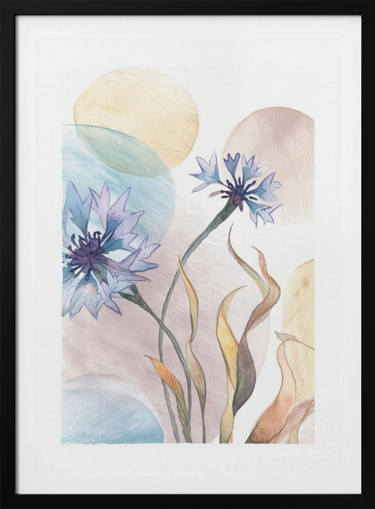 Watercolor Cornflowers | Poster