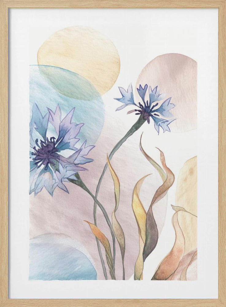 Watercolor Cornflowers | Poster