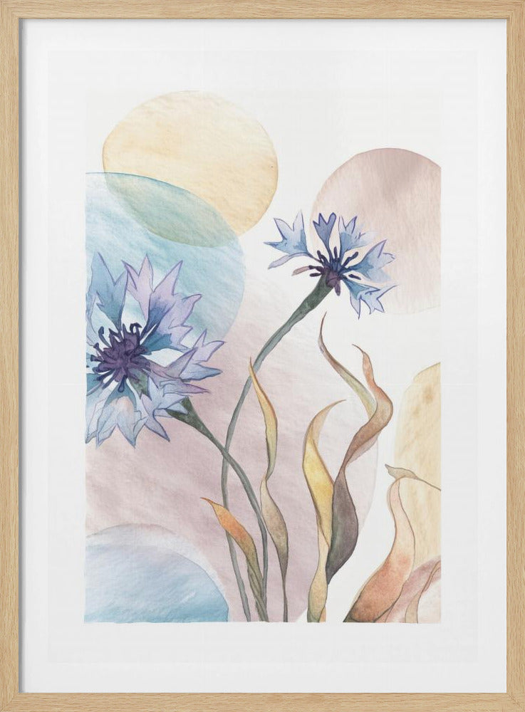 Watercolor Cornflowers | Poster