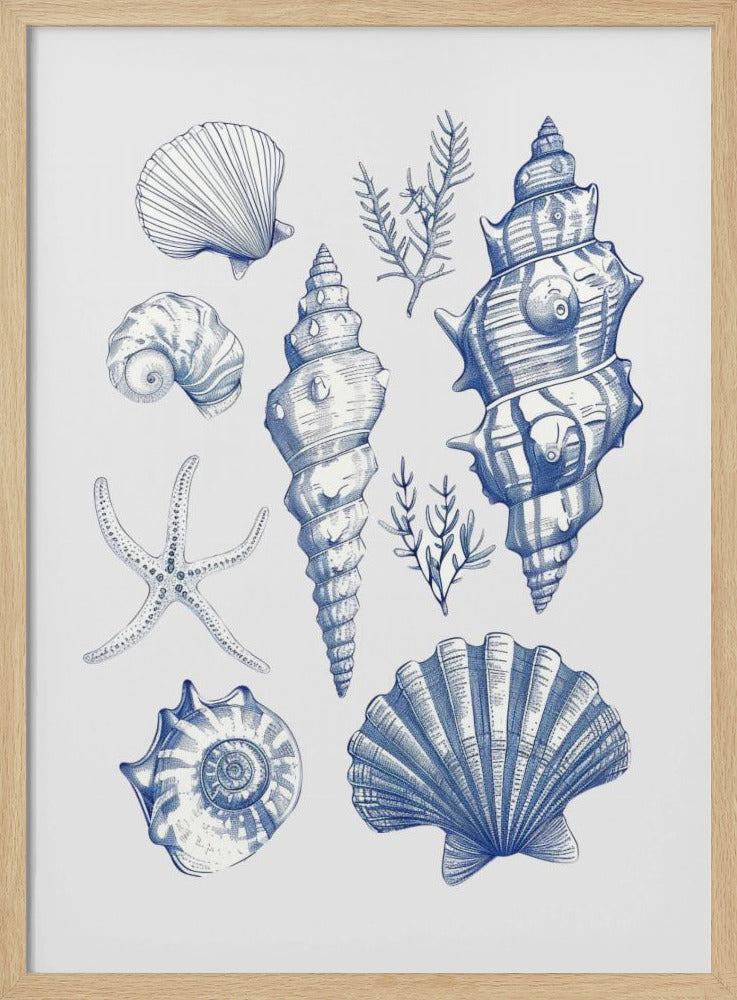 Shell Collage | Poster